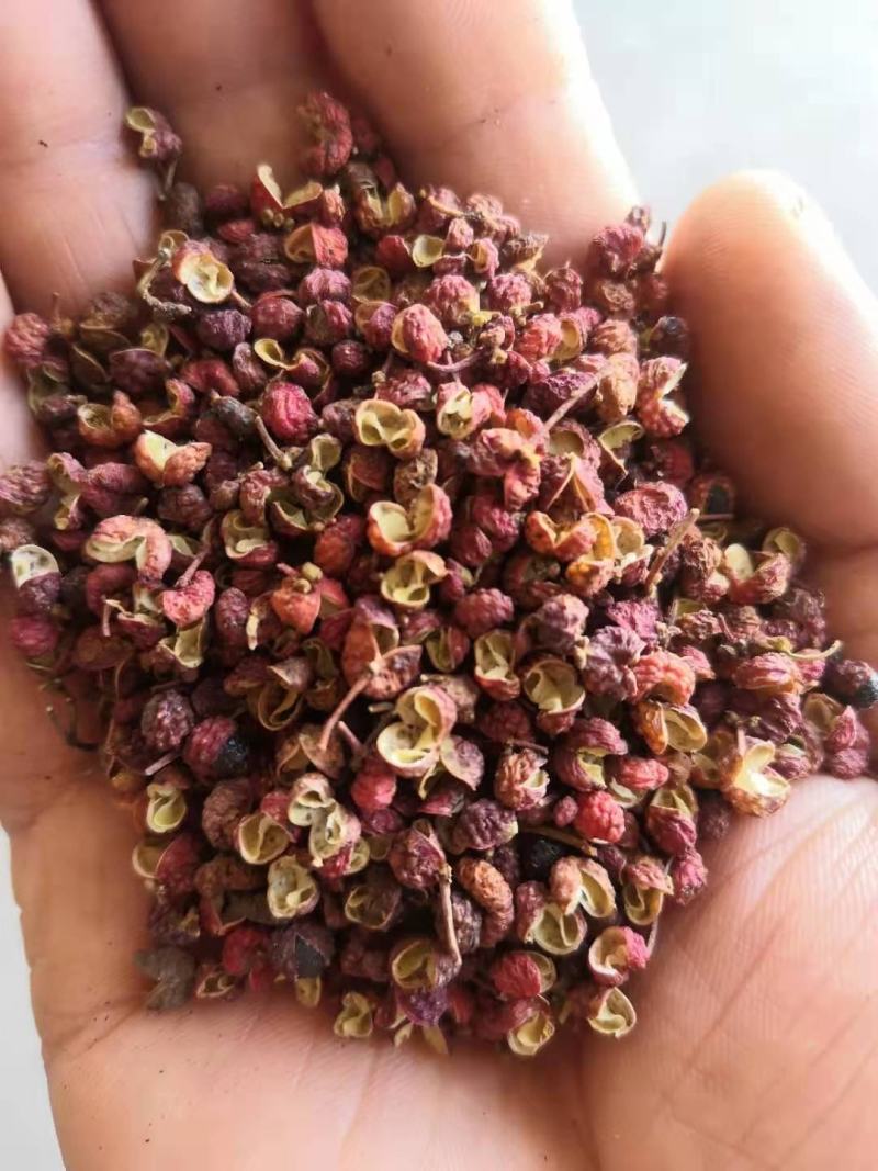 陕西特货大颗粒大红袍花椒干花椒味纯麻香批发市场商超