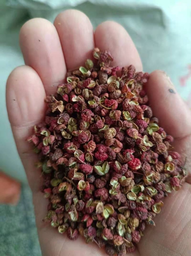 陕西特货大颗粒大红袍花椒干花椒味纯麻香批发市场商超