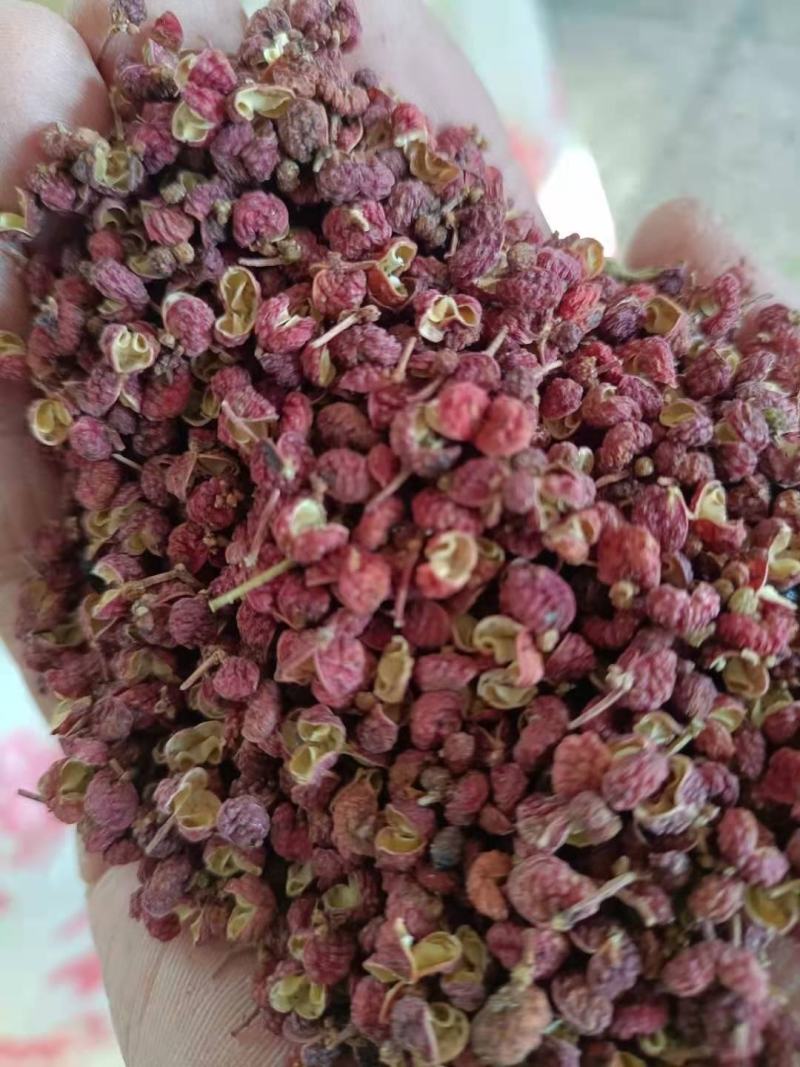 陕西特货大颗粒大红袍花椒干花椒味纯麻香批发市场商超