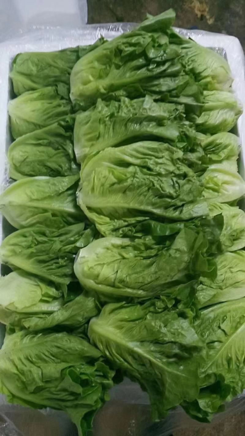 精品意大利质量保证产地直发需要的老板前来选购
