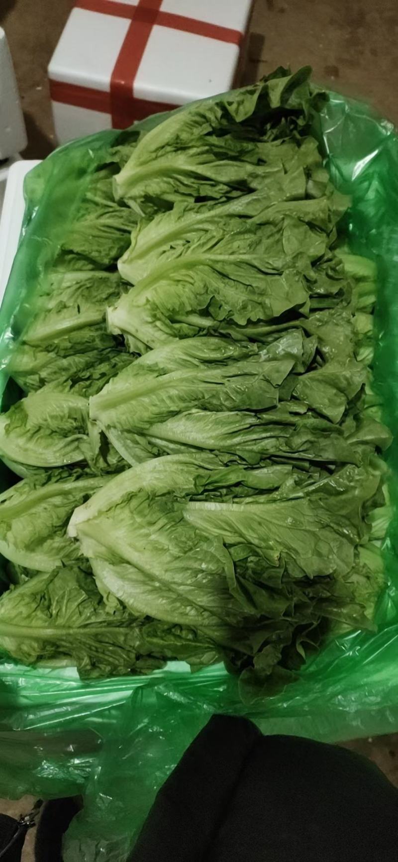 精品意大利质量保证产地直发需要的老板前来选购