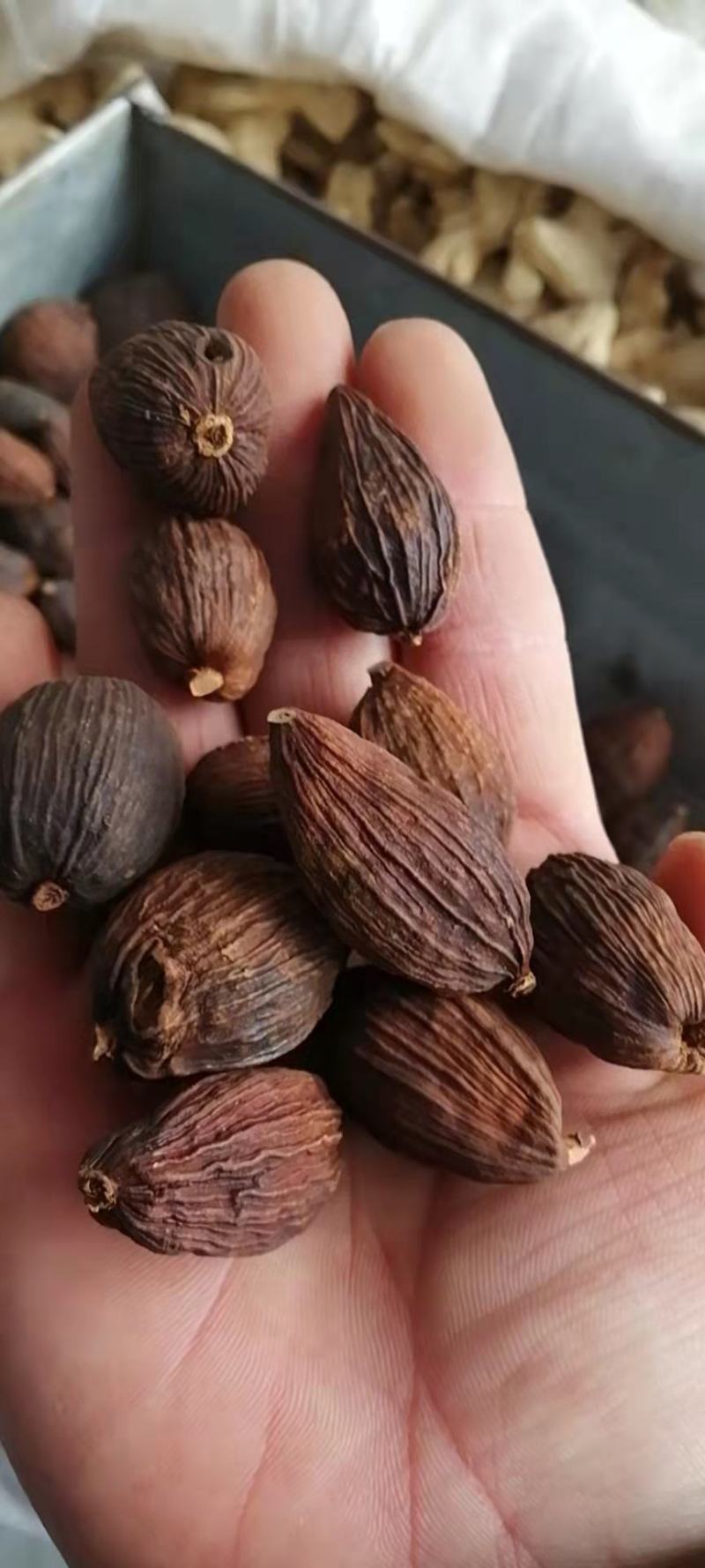 草果云南草果炖肉料烧烤料纯干调料