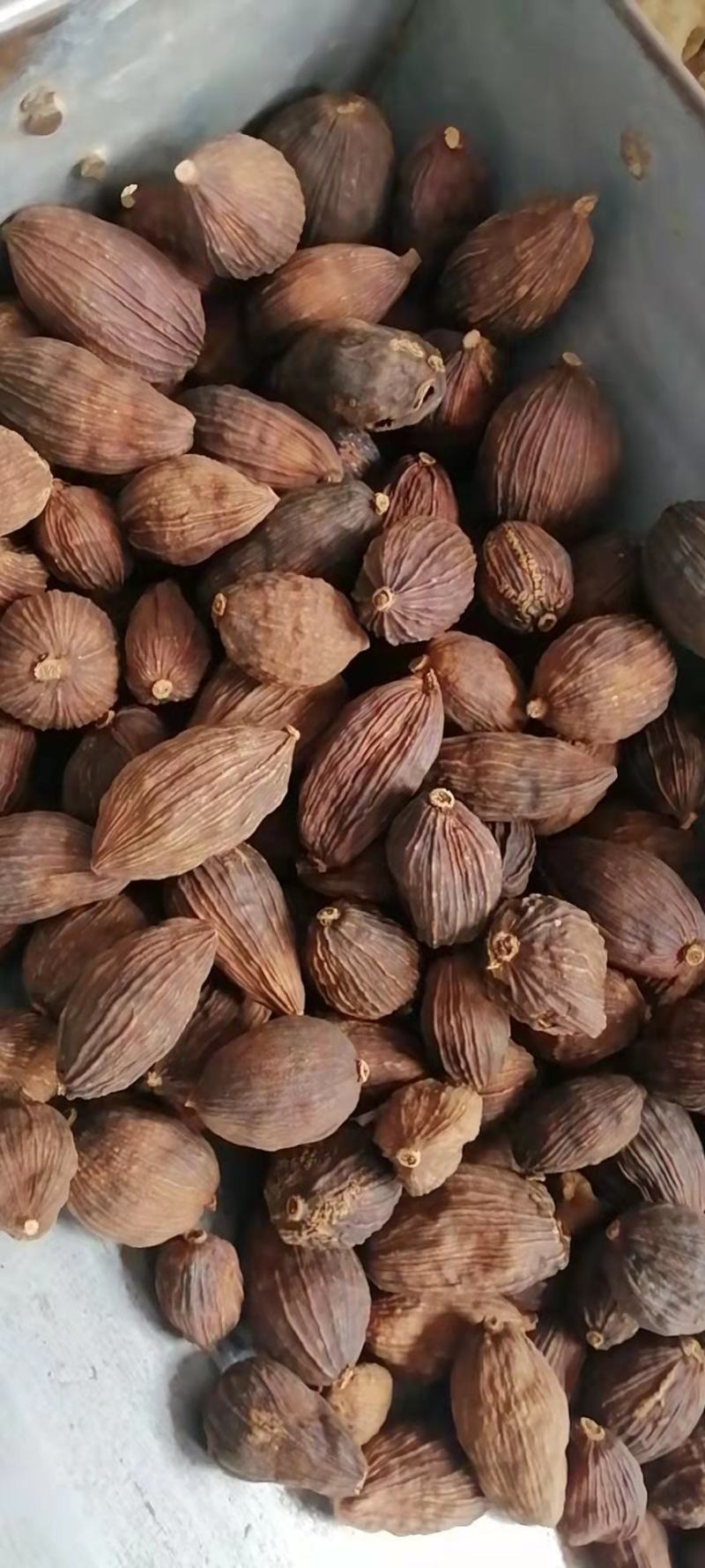 草果云南草果炖肉料烧烤料纯干调料