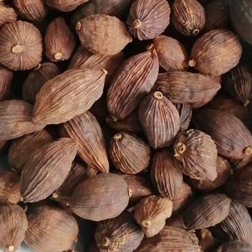 草果云南草果炖肉料烧烤料纯干调料