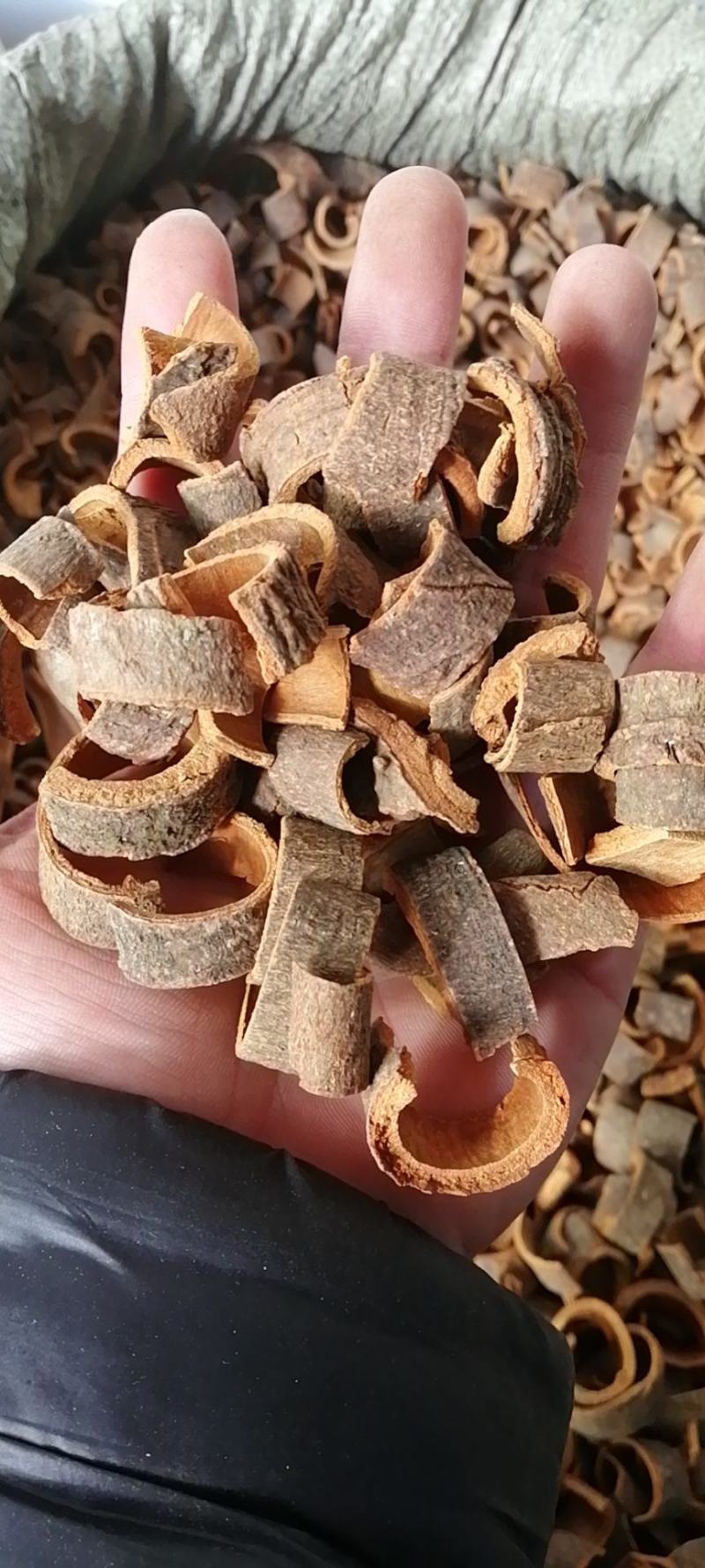 桂皮段丝肉桂桂碎油桂桂心紫桂香料调料