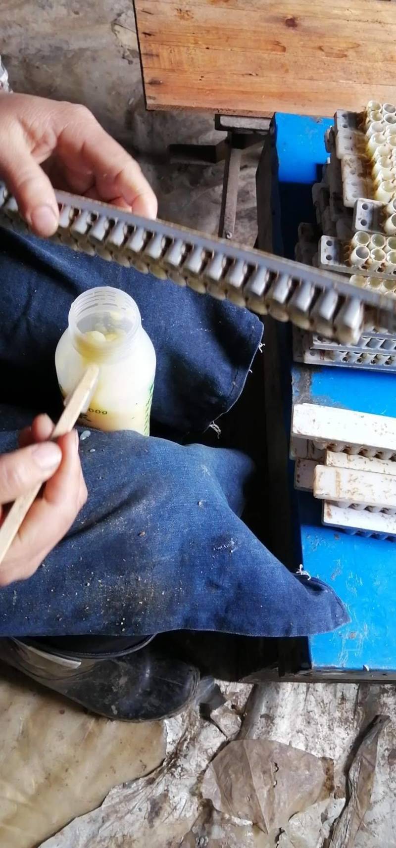 精品蜂王浆，自产自销活性油菜浆，品质保证，欢迎选购