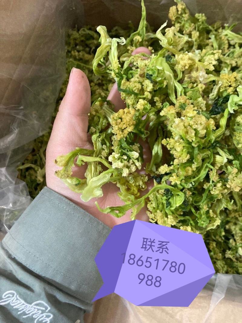 脱水黄瓜条2026年5月份新货！！
