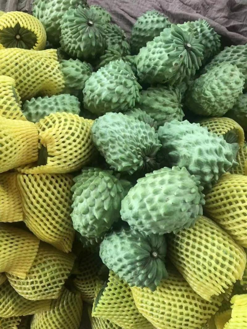 凤梨释迦