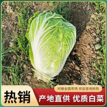 专业对接超市电商各大商场