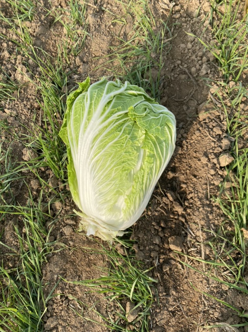 专业对接超市电商各大商场