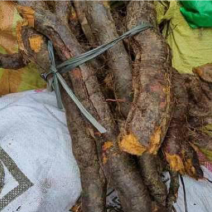 虎杖根鲜货、无泥精品货、保证正品、需要的下单