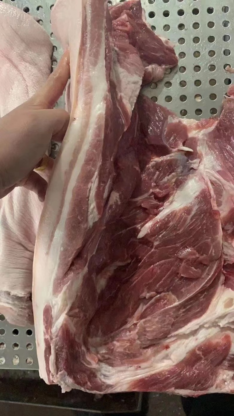 精品五花肉产地直供品质保证