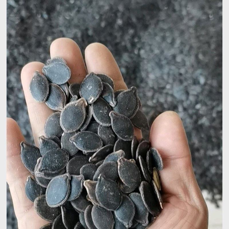 香瓜子黑瓜子南非黑金钢炒货专用瓜子