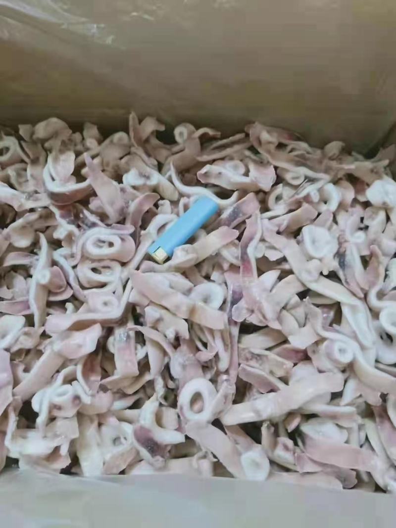 [热卖]福建鱿鱼条鱿鱼丝鱿鱼圈鱿鱼尖头鱿鱼须
