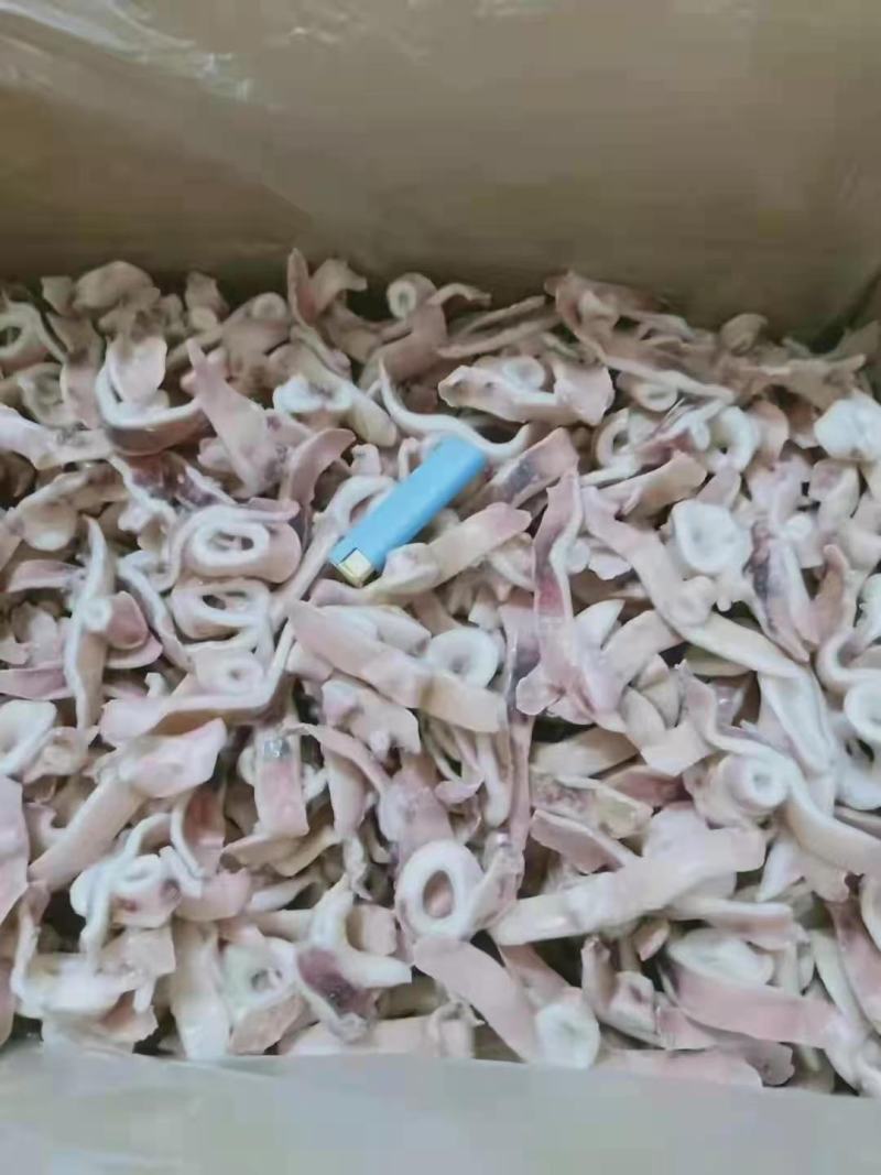 [热卖]福建鱿鱼条鱿鱼丝鱿鱼圈鱿鱼尖头鱿鱼须