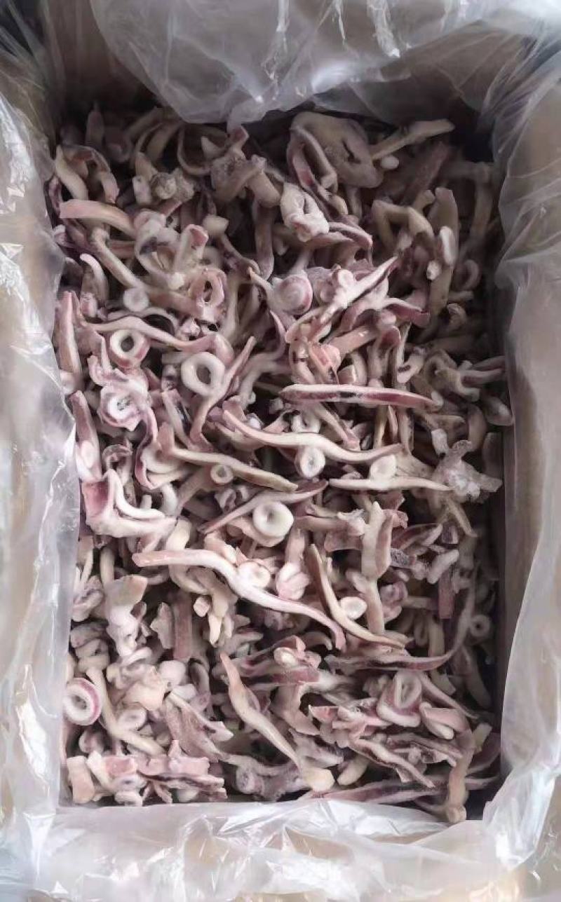 [热卖]福建鱿鱼条鱿鱼丝鱿鱼圈鱿鱼尖头鱿鱼须