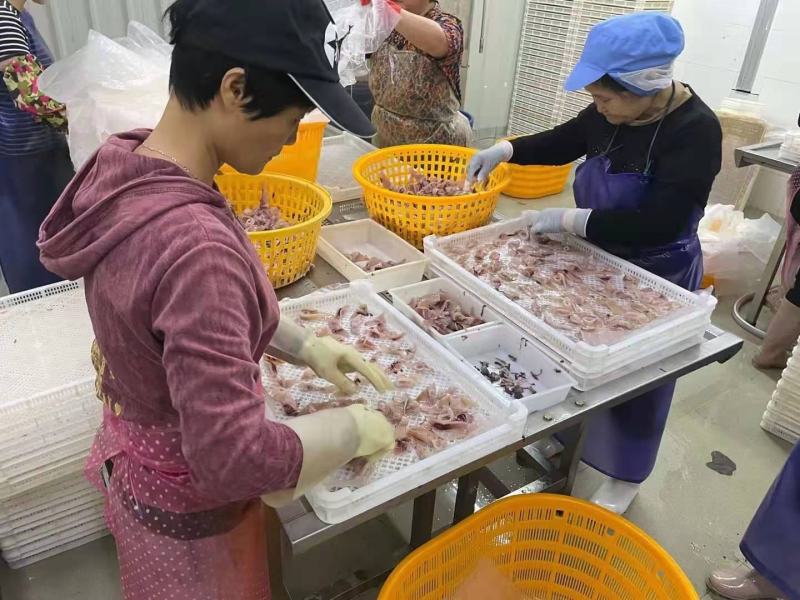 [热卖]福建鱿鱼条鱿鱼丝鱿鱼圈鱿鱼尖头鱿鱼须