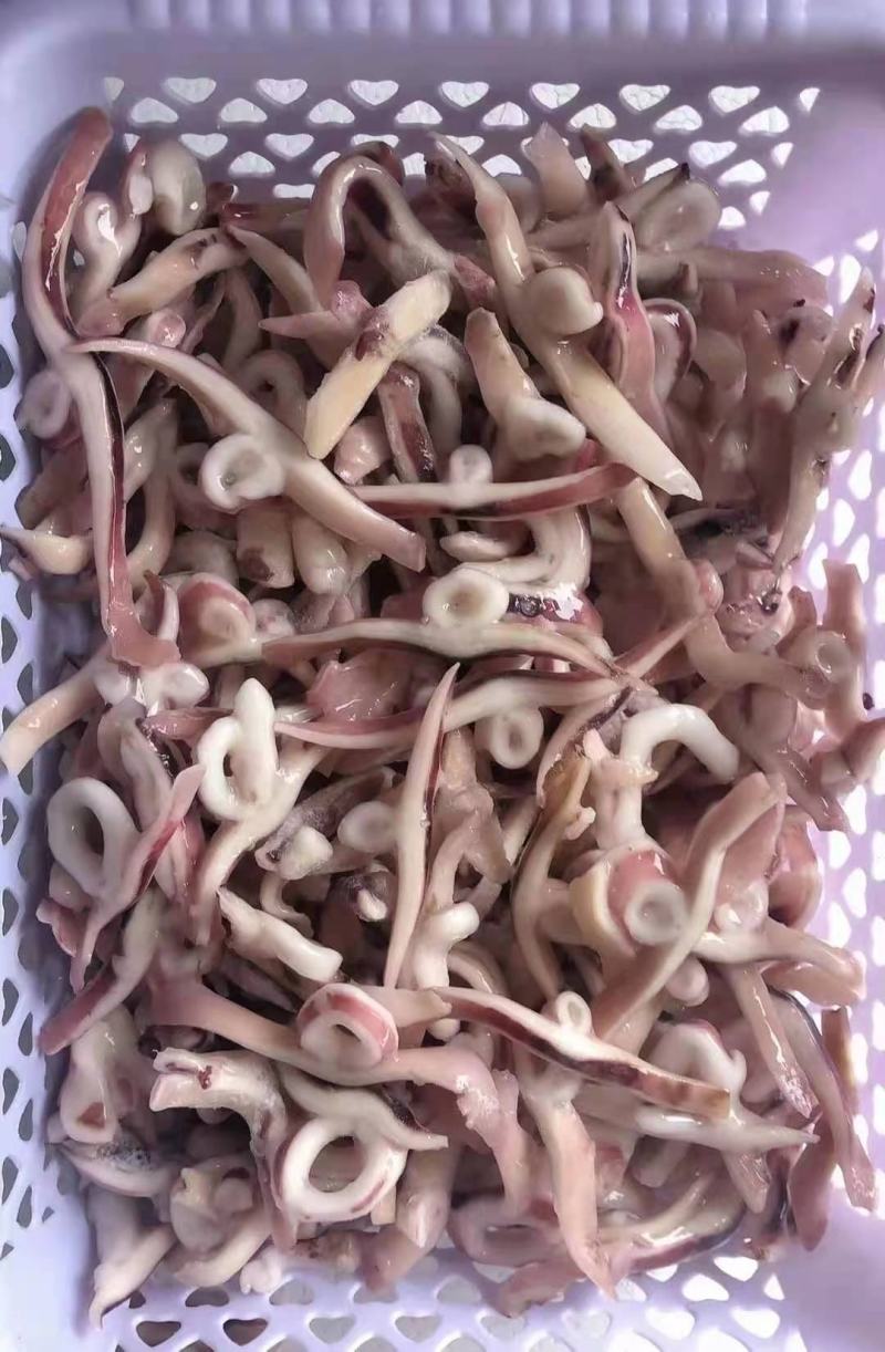 [热卖]福建鱿鱼条鱿鱼丝鱿鱼圈鱿鱼尖头鱿鱼须
