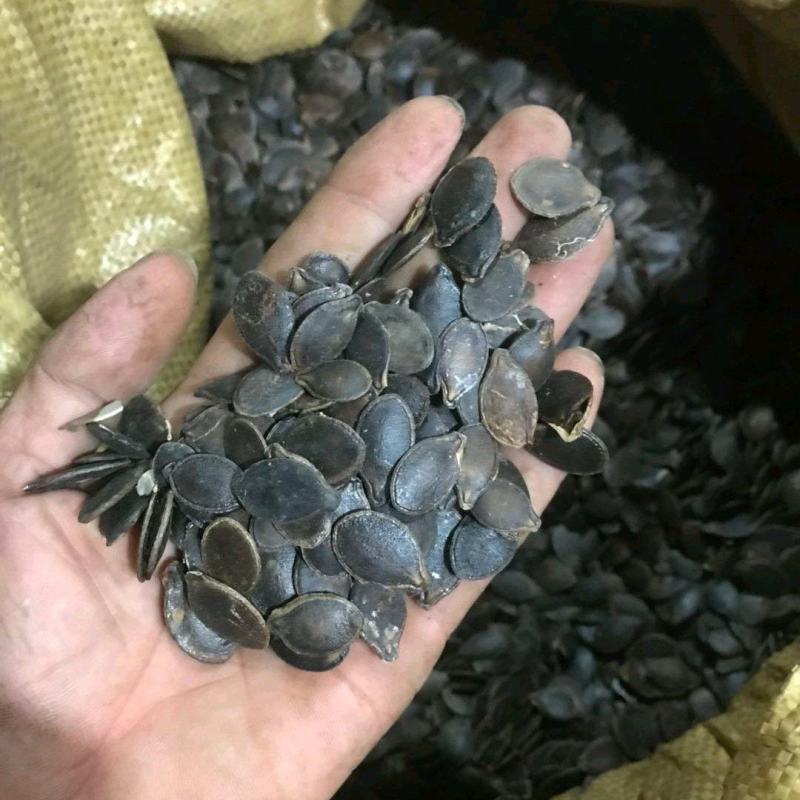 黑瓜子南非黑金钢香瓜子米线瓜子！剥壳和泡酒用