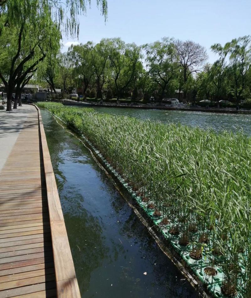 人工浮岛种植浮床组装生态浮岛景观净化水质