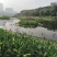 人工浮岛种植浮床组装生态浮岛景观净化水质