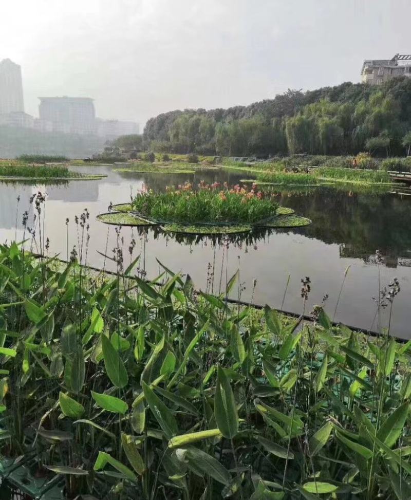 人工浮岛种植浮床组装生态浮岛景观净化水质