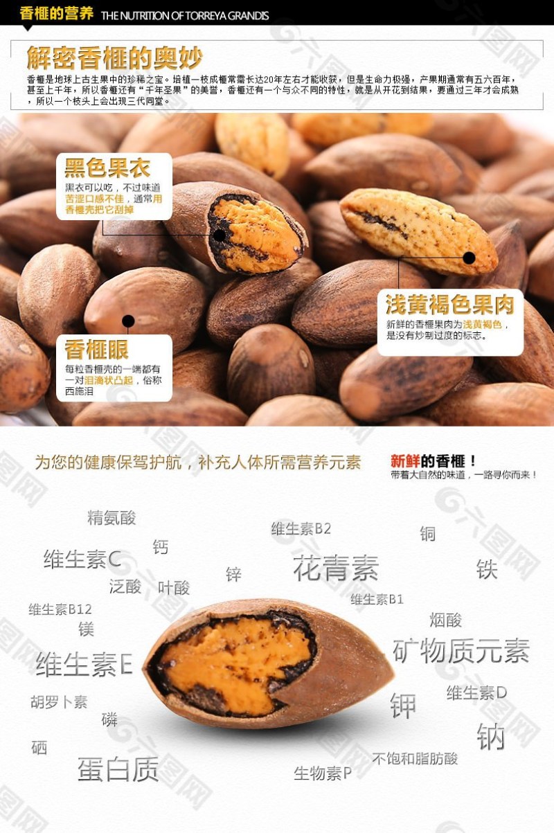 嵊州特优级香榧，珍珠榧，老龄树，绝无差果，诚信经营