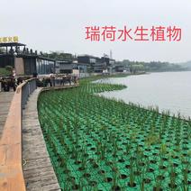 人工浮岛种植浮床组装生态浮岛景观净化水质