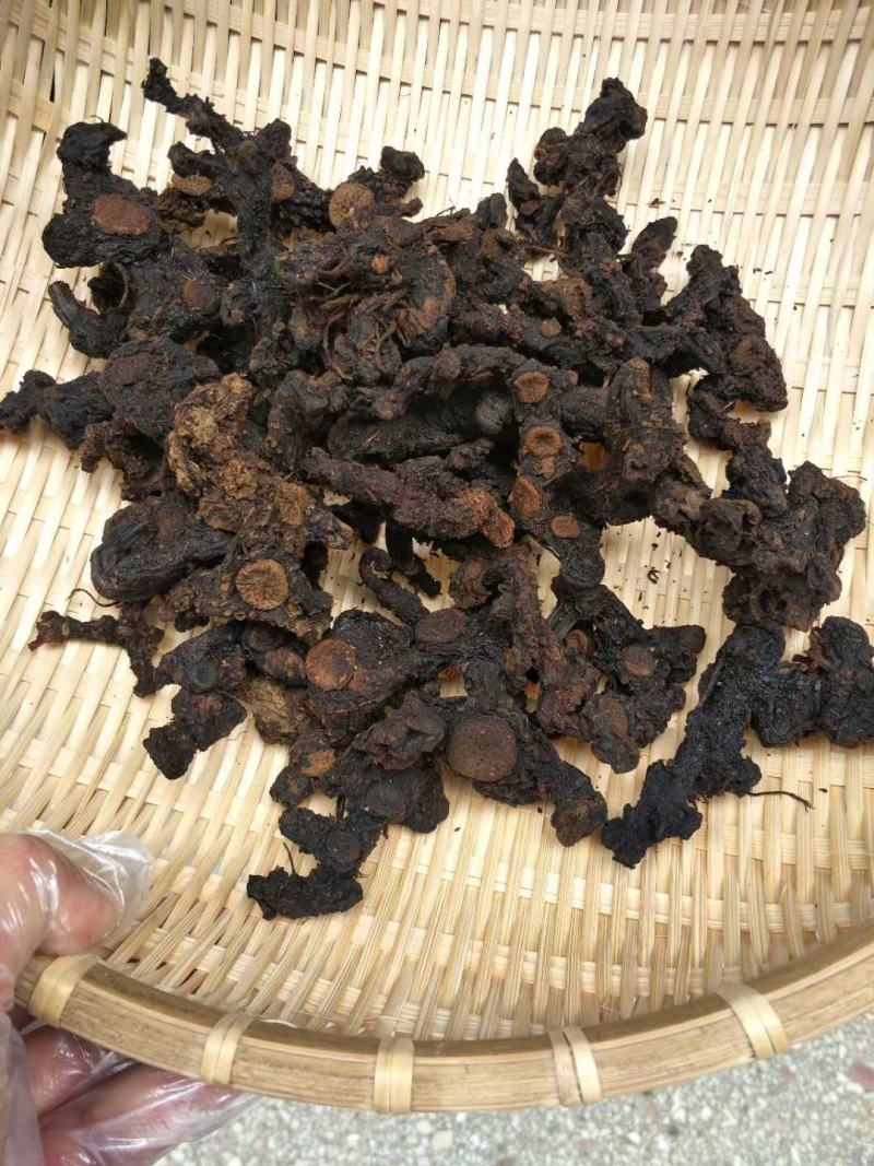 黄精制黄精九蒸九晒野生黄精中药材