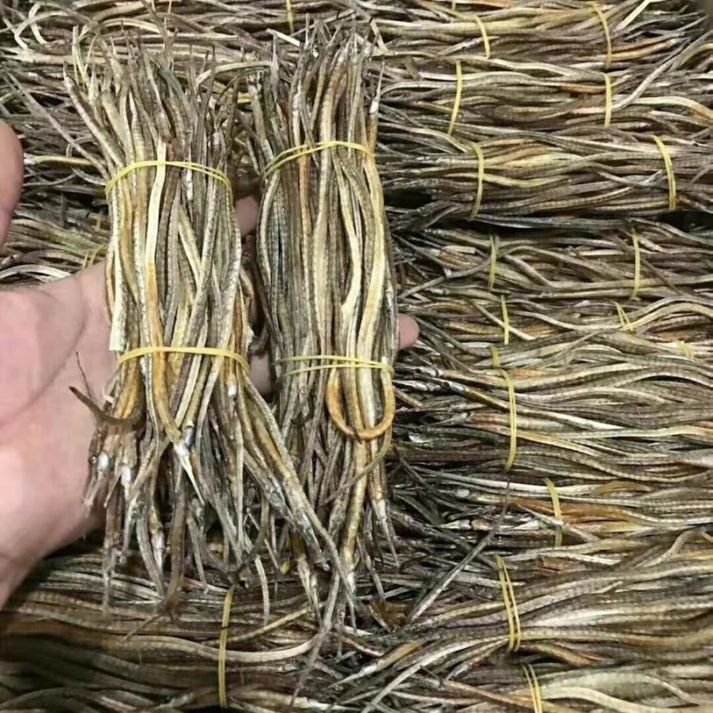 海龙小海龙海龙干货500克包邮一手货源