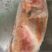 红石斑鱼整条鲜活冷冻大龙胆鱼富贵鱼深海鱼速冻鲜活海鲜