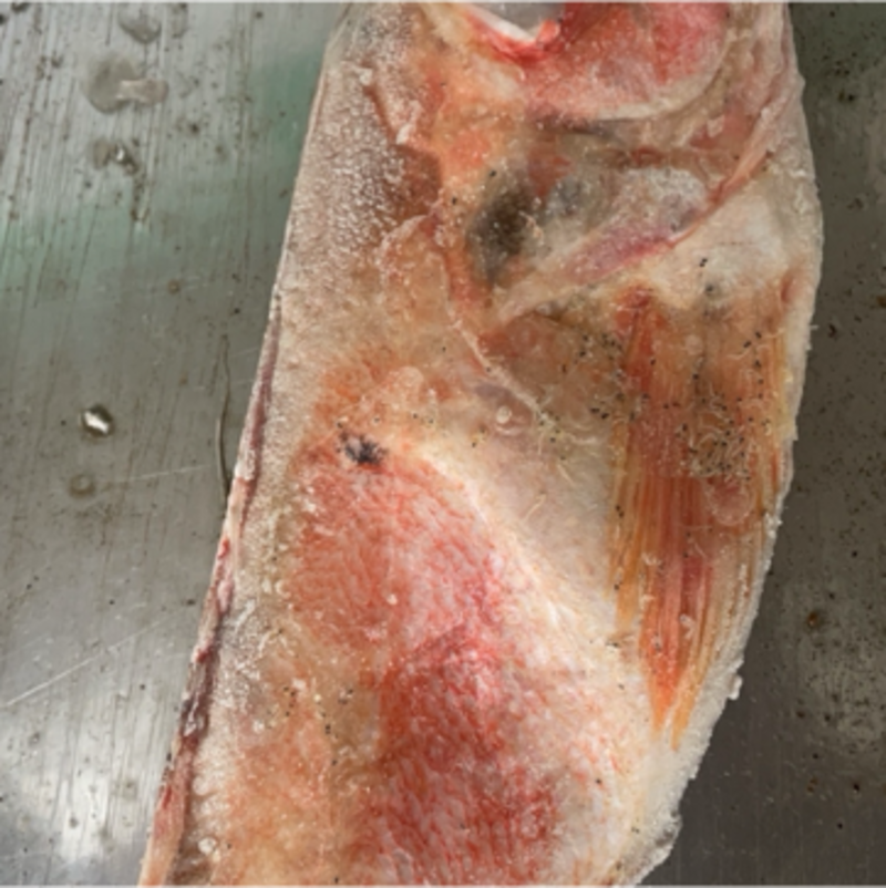 红石斑鱼整条鲜活冷冻大龙胆鱼富贵鱼深海鱼速冻鲜活海鲜