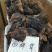 川西高原野生藏药材