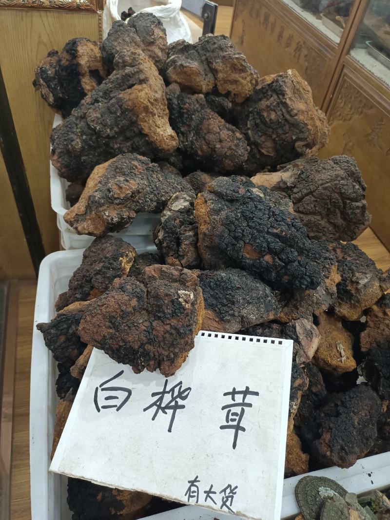 川西高原野生藏药材