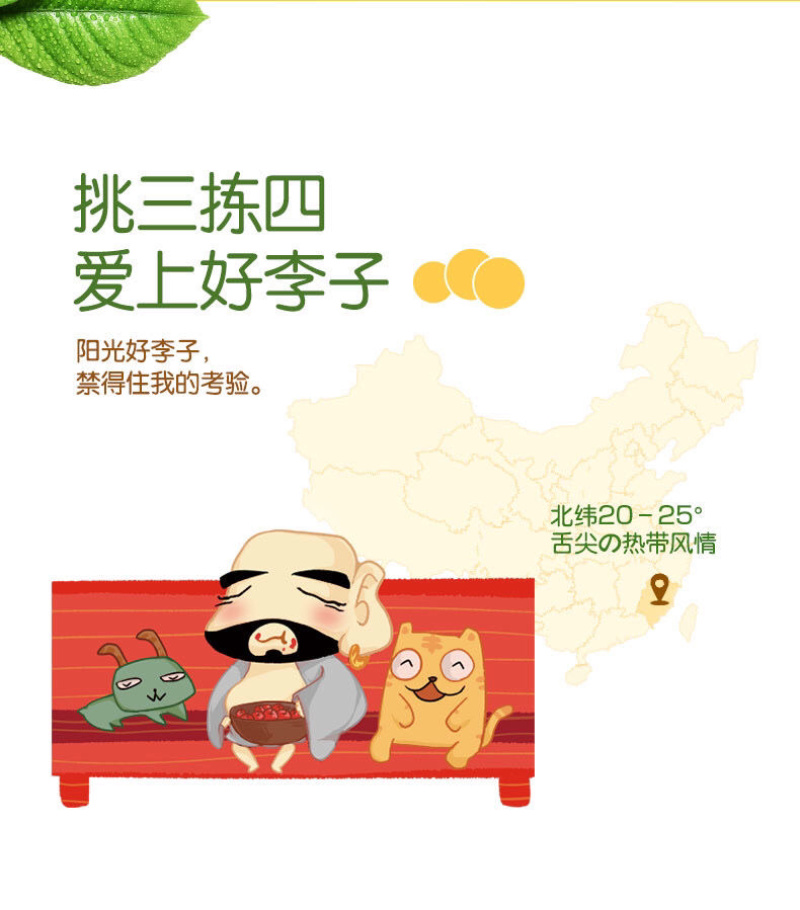 半梅干2斤装半边梅干话李子梅肉酸甜果脯蜜饯休闲零食果干