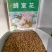 蜂室花种子屈曲花矮生花卉种籽阳台花海植物观赏绿化耐寒庭院