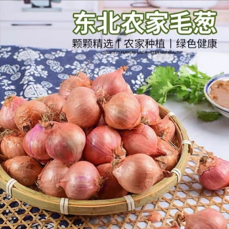 《紫洋葱》有货长期供应商需要合作！长期合作！