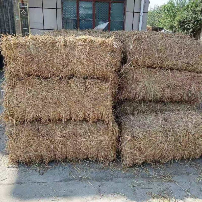 草垛干稻草农家乐稻草装饰稻草垛方形圆形草垛子拍摄道具草垛