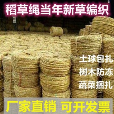 稻草绳花木移栽土球包扎绳捆绑树木保暖防冻绳农家乐稻草装饰