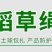 稻草绳花木移栽土球包扎绳捆绑树木保暖防冻绳农家乐稻草装饰