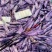藏红花原朵花苞藏红花花瓣国产花瓣量大从优