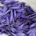 藏红花原朵花苞藏红花花瓣国产花瓣量大从优