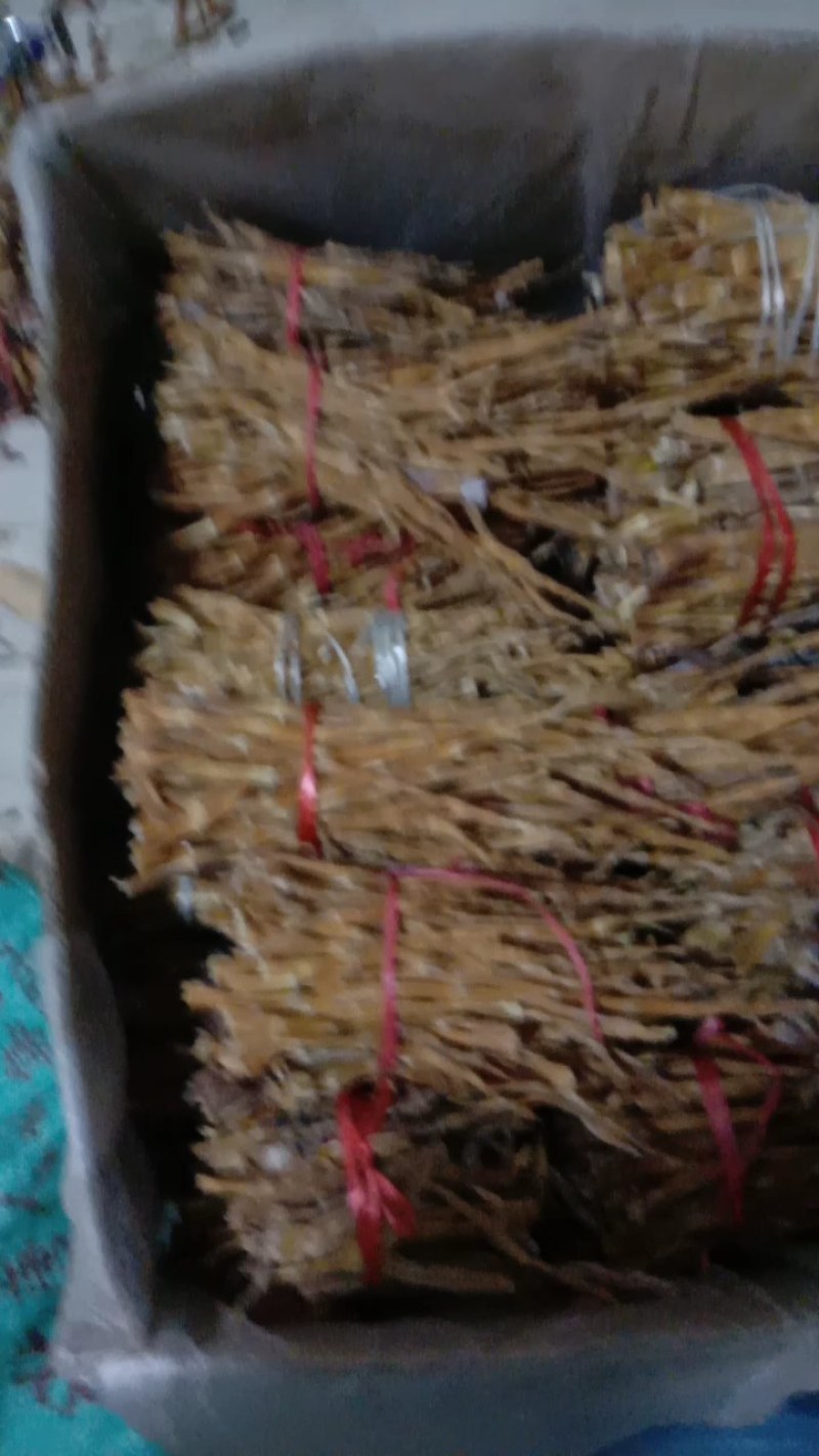 用柴火熏烤的小笋。手工精剪的好笋子。吃得又脆又香，