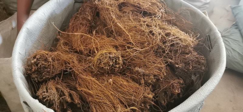 云南龙胆草正品苦胆草龙胆整棵龙胆草水洗大货79