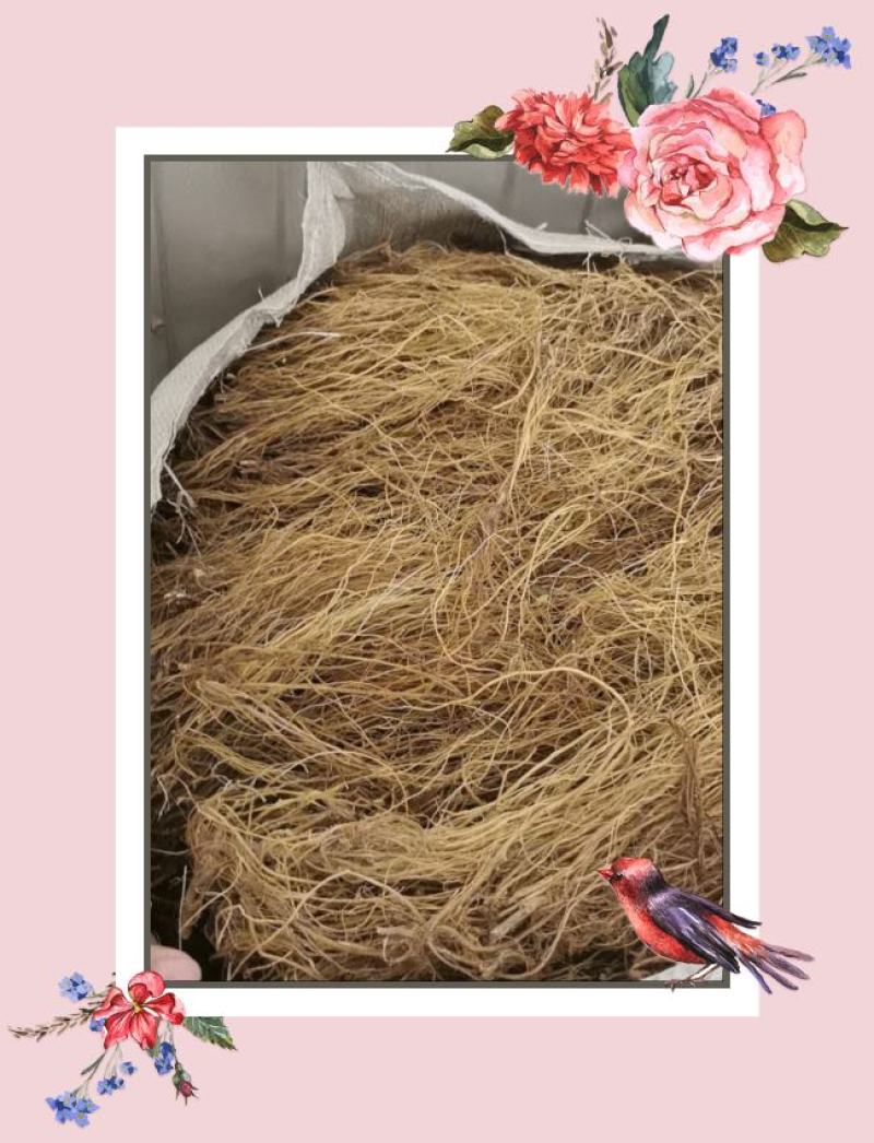 云南龙胆草正品苦胆草龙胆整棵龙胆草水洗大货79
