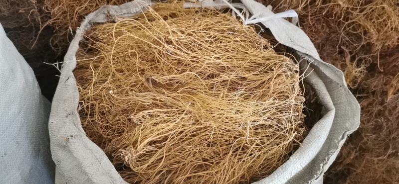 云南龙胆草正品苦胆草龙胆整棵龙胆草水洗大货79