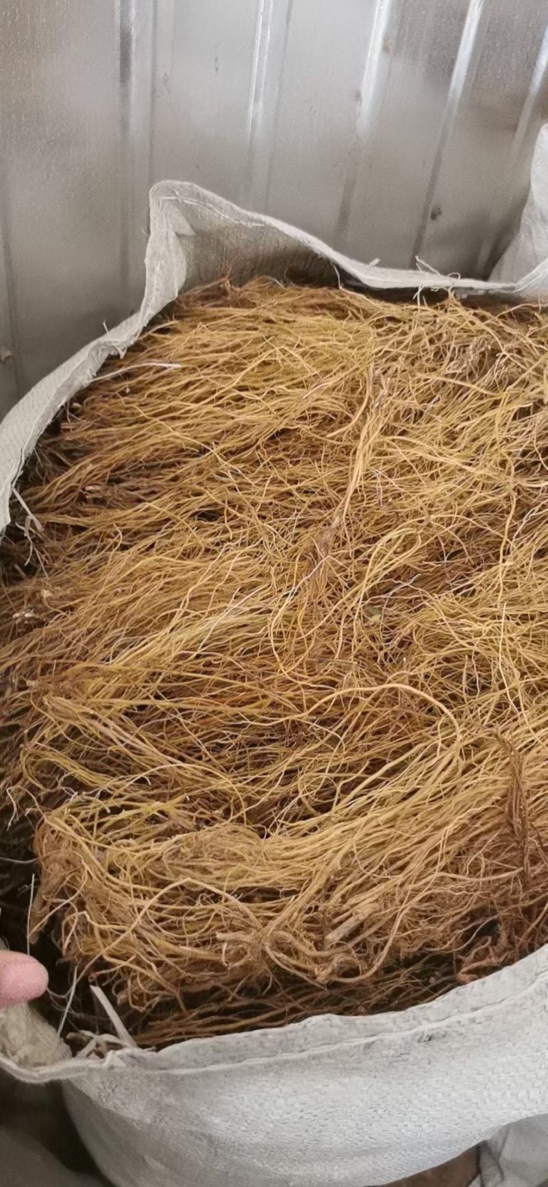 云南龙胆草正品苦胆草龙胆整棵龙胆草水洗大货79