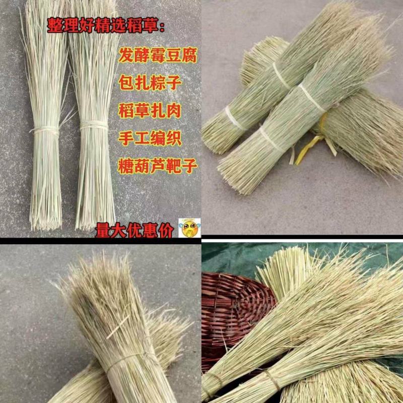 新鲜干稻草霉豆腐稻草杆手工精选稻草续窝草屋顶修复稻草装饰