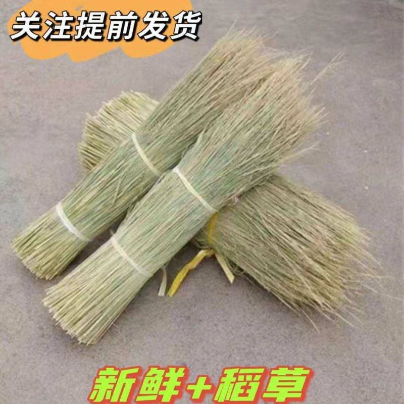 新鲜干稻草霉豆腐稻草杆手工精选稻草续窝草屋顶修复稻草装饰