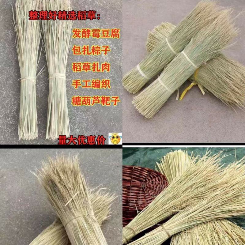 新鲜干稻草霉豆腐稻草杆手工精选稻草续窝草屋顶修复稻草装饰